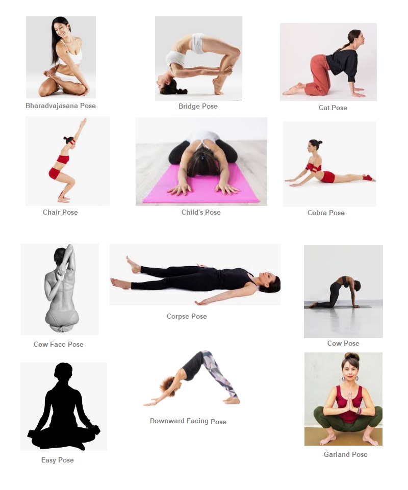 Yoga Posture for Correcting Cervical Spondylitis - Rishikesh Yoga School