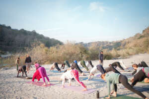 Vinyasa Yoga Teacher Training in India
