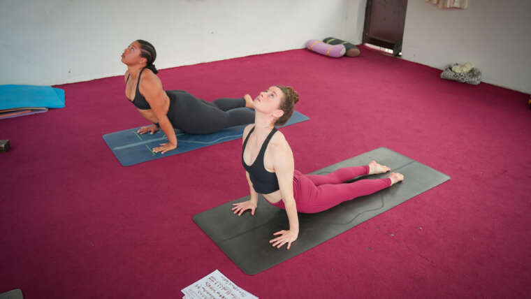 What Are The World Best Yoga Styles To Practice-Vinyasa Yoga Teacher Training School