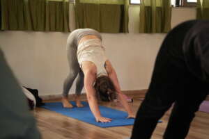 Best Ashtanga And Vinyasa Flow Yoga 