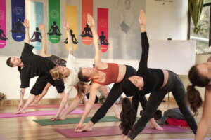 Best Vinyasa Yoga