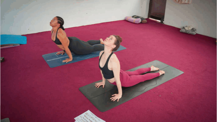 Suggest The Best 300 Hours Yoga School In Rishikesh India
