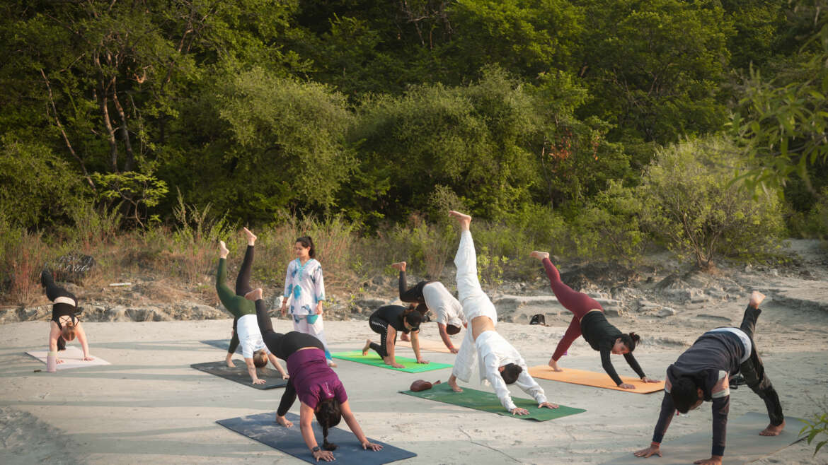 How Do I Choose an Authentic Yoga School in Rishikesh? (Avoiding the ‘Certificate Mills’)