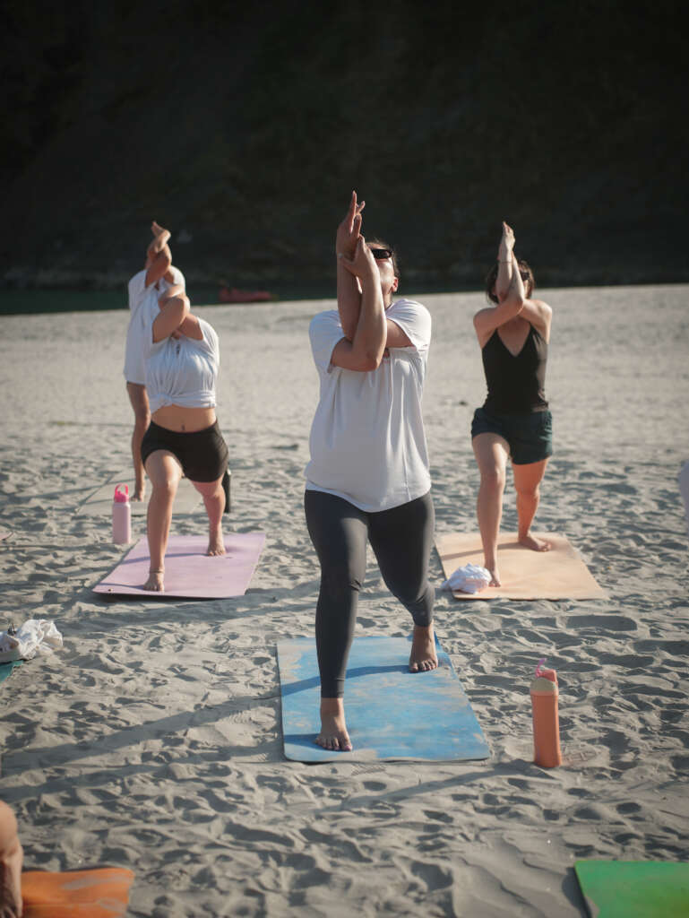 Vinyasa Yoga Teacher Training in Rishikesh